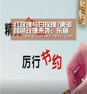 乐鱼