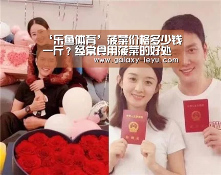 乐鱼官方版正版安装