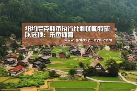 乐鱼官方版正版安装