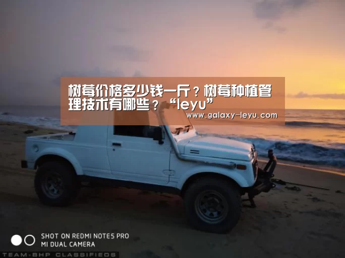 树莓价格多少钱一斤？树莓种植管理技术有哪些？“leyu”(图1)