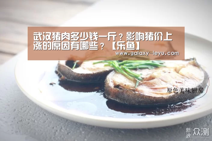 乐鱼