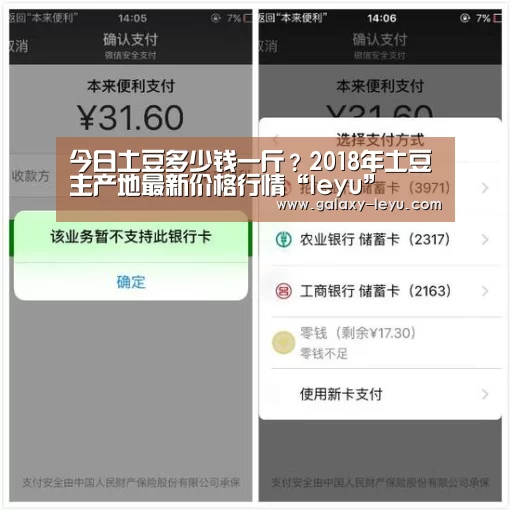 乐鱼