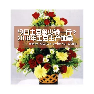 今日土豆多少钱一斤？2018年土豆主产地最新价格行情“leyu”(图4)