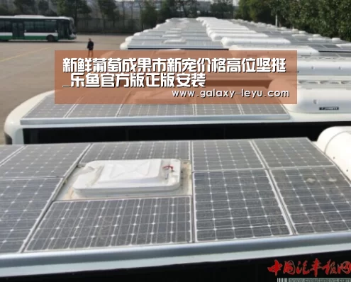 新鲜葡萄成果市新宠价格高位坚挺_乐鱼官方版正版安装(图3) 乐鱼体育